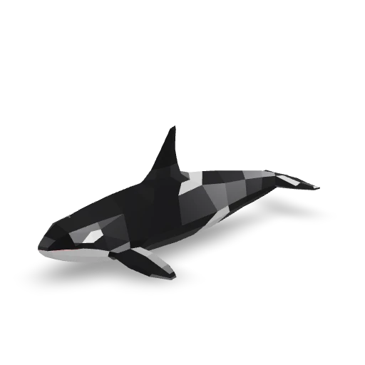 Orca
