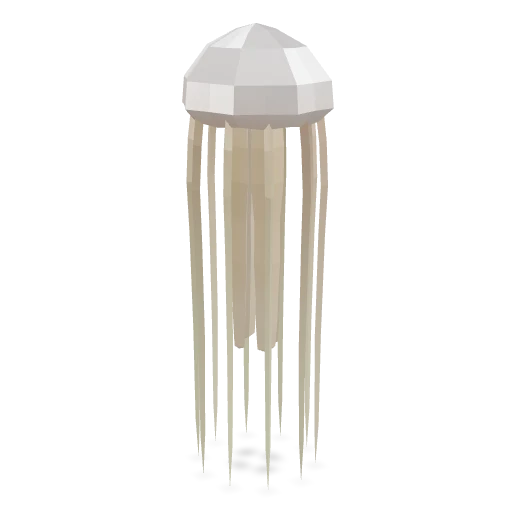 Rhizostoma