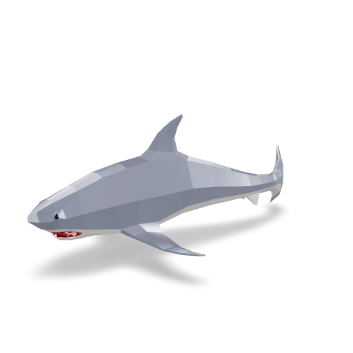 Shark