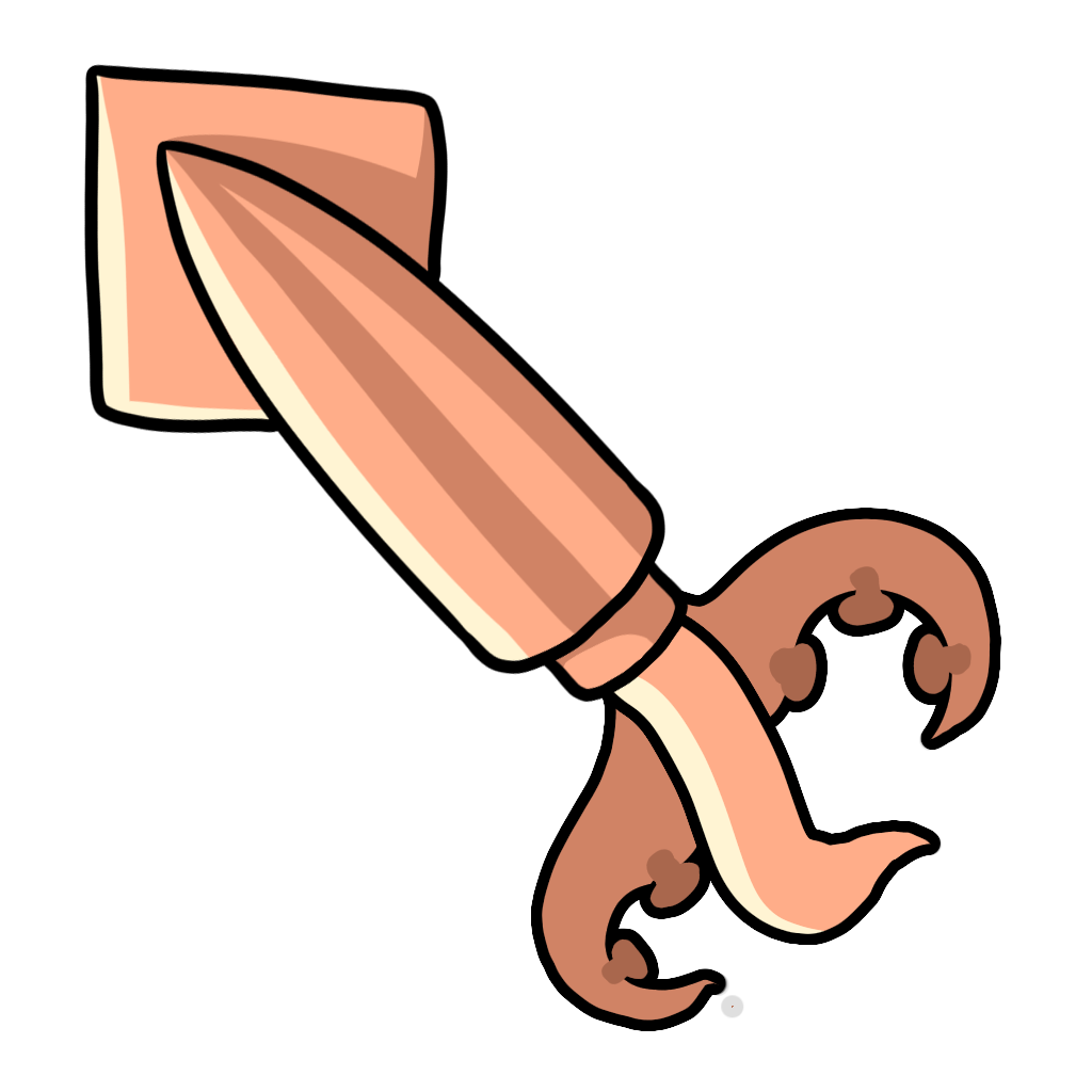 Squid