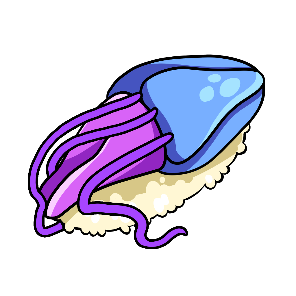 Cubozoa Sushi