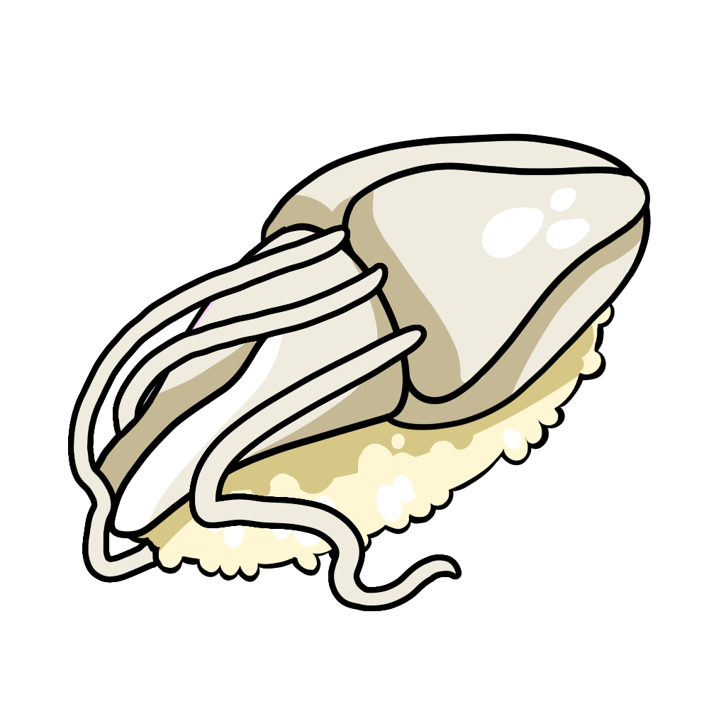Rhizostoma Sushi